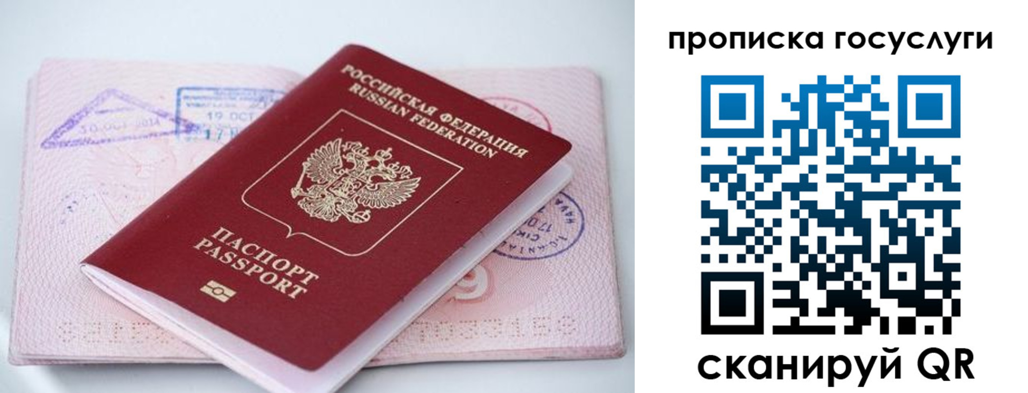 прописка законно в Сельцо